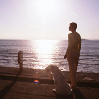 中川卓爾は、有名な腰痛治療の第一人者です。このたび30年にわたる研究の結果を集大成として【中川式腰痛治療法】DVDで販売されています。延べ50万人もの腰痛患者を救済されてきた効果的な腰痛治療法とされますが、その有効性を検証しています。